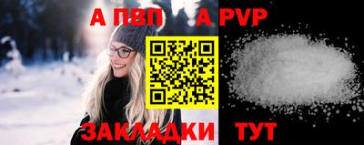 шишки Аргун