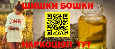 шишки Аргун