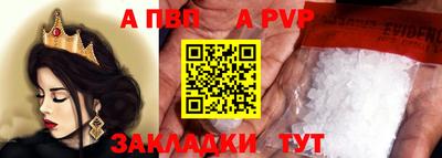 шишки Аргун