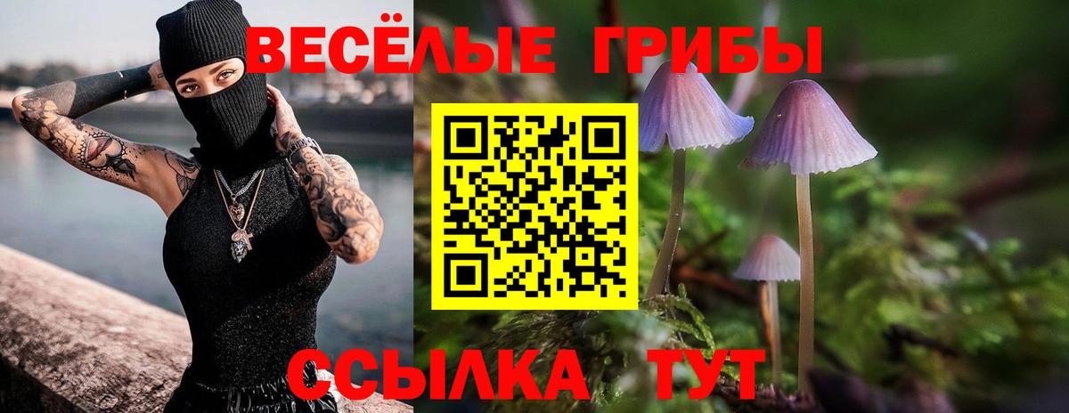 Галлюциногенные грибы прущие грибы Балашиха
